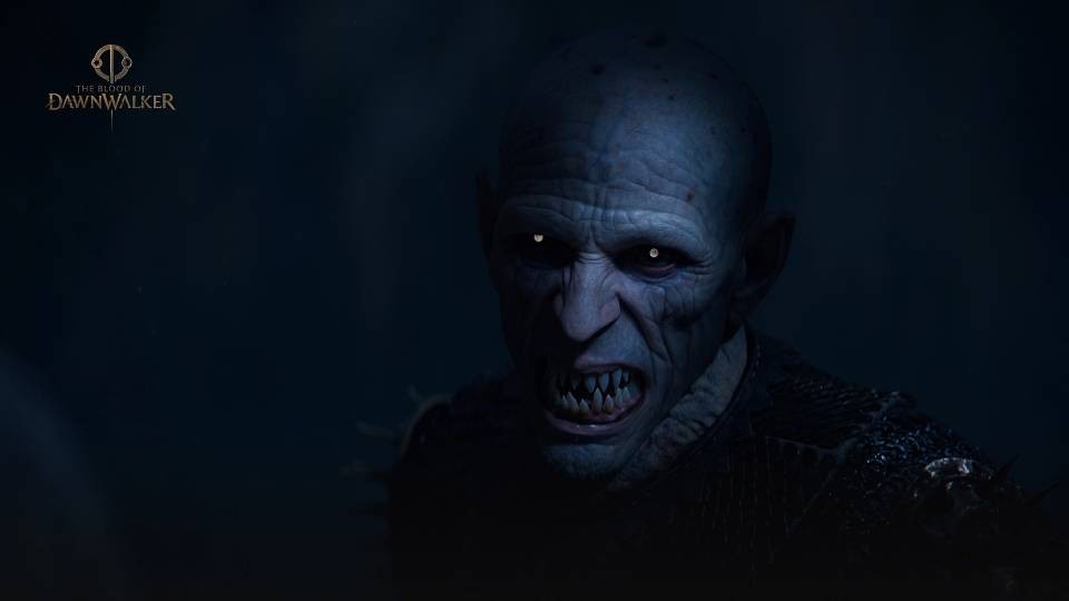 The Blood of Dawnwalker estimated 1080p settings — entry tier