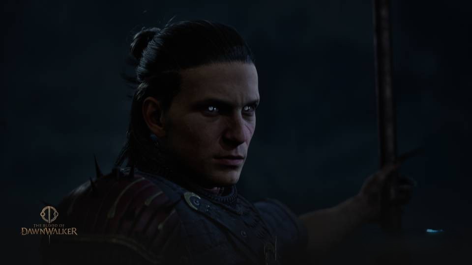 The Blood of Dawnwalker estimated 1440p settings — mid-range tier