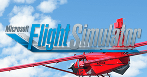 Flight sim