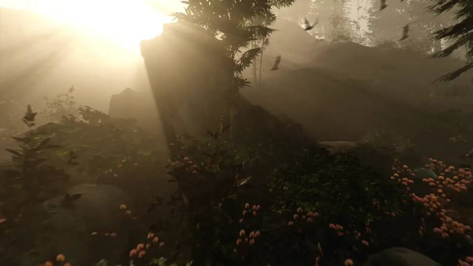 The Forest at 4K — enthusiast tier, the game runs beyond what a monitor can limit